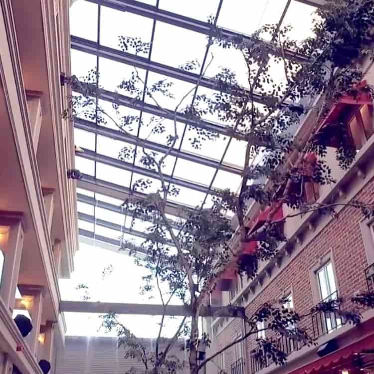 Best Mall atriums Retractable Roof Systems for Modern Atriums