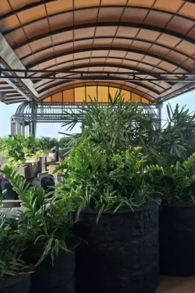 arkayu-retractable-roof-blog1-image6