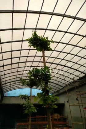 arkayu motorised roof